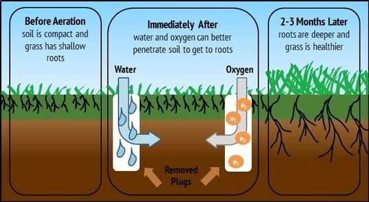 Aeration deals